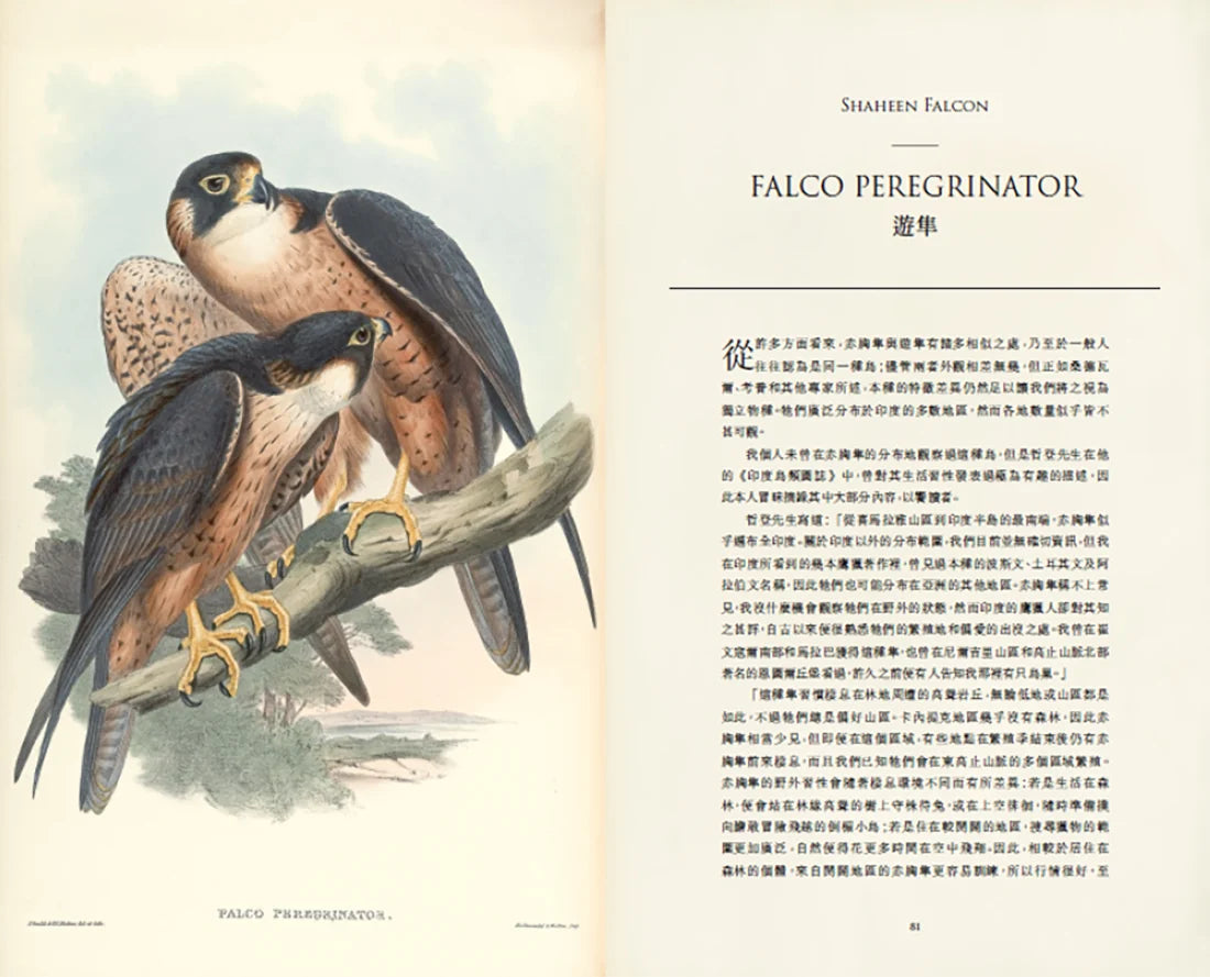 臺灣珍鳥重現:古爾德鳥類博物誌臺灣選集 精裝書 Hardback