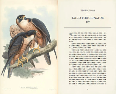 臺灣珍鳥重現:古爾德鳥類博物誌臺灣選集 精裝書 Hardback