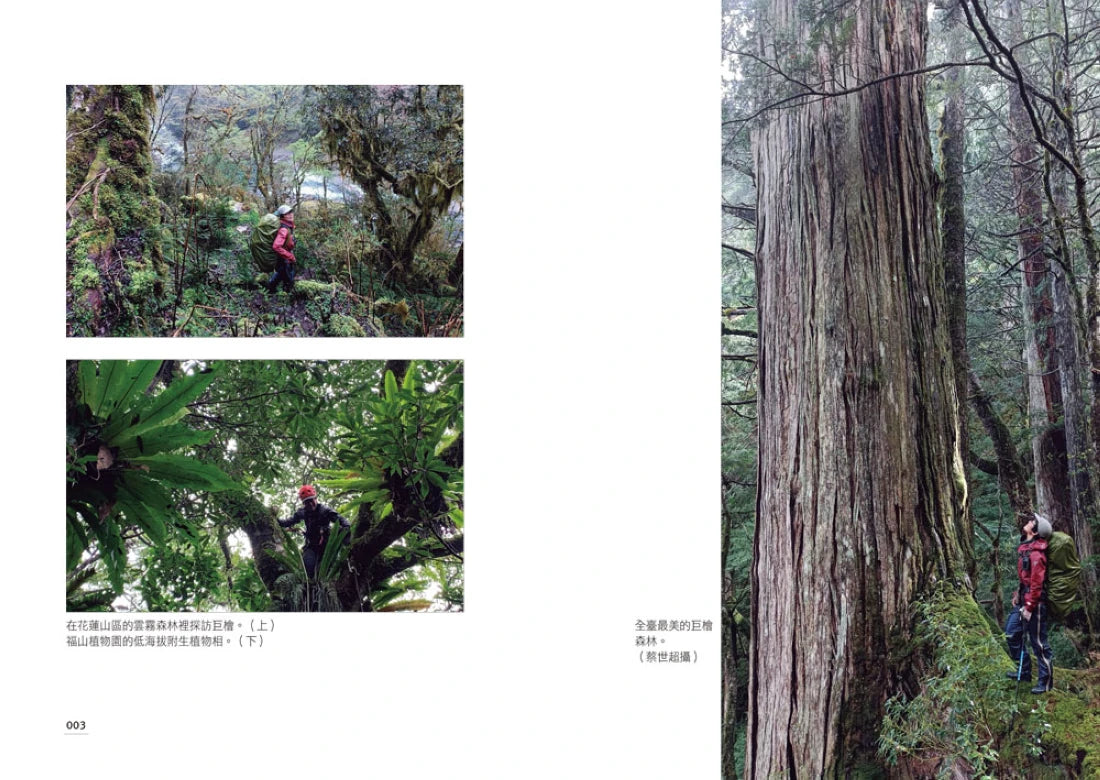 我不只會爬樹:一位女孩勇敢嘗試和失敗,最終成為獨一無二的植物學家 平裝書 Paperback