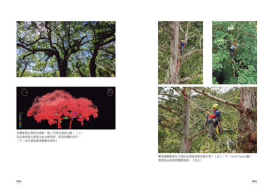 我不只會爬樹:一位女孩勇敢嘗試和失敗,最終成為獨一無二的植物學家 平裝書 Paperback