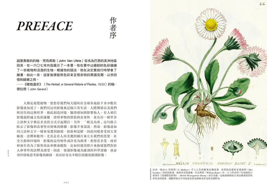 妝花:世界植物插畫演進史的藝術之美與科學思辨 平裝書 Paperback