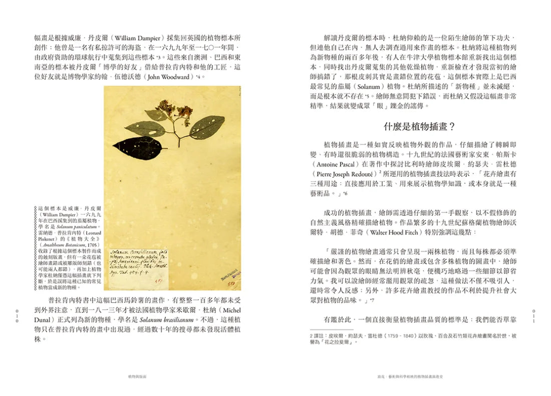 妝花:世界植物插畫演進史的藝術之美與科學思辨 平裝書 Paperback