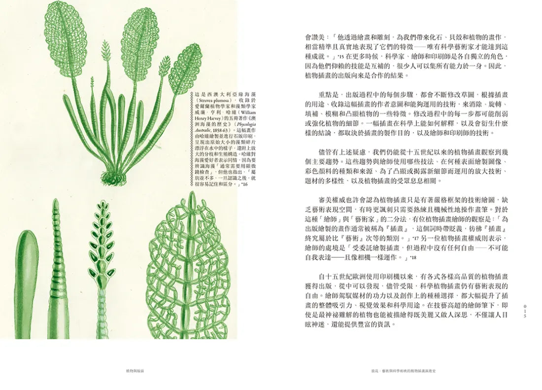 妝花:世界植物插畫演進史的藝術之美與科學思辨 平裝書 Paperback