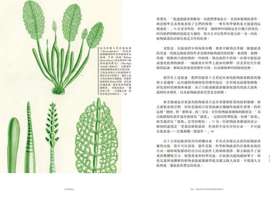妝花:世界植物插畫演進史的藝術之美與科學思辨 平裝書 Paperback