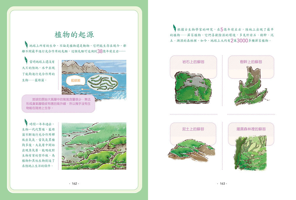 【神奇圖書館】科普版(4):變異植物危機(中高年級適讀)(《口袋神探》作者凱叔新作) 平裝書 Paperback