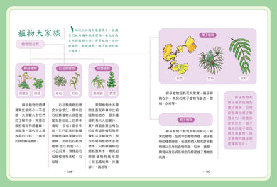 【神奇圖書館】科普版(4):變異植物危機(中高年級適讀)(《口袋神探》作者凱叔新作) 平裝書 Paperback