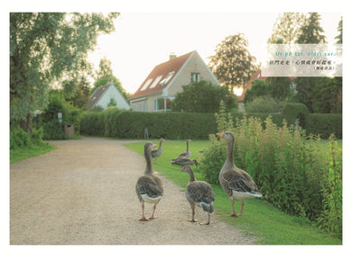 北歐時間:
世界第一幸福國度教會我的事 平裝書 Paperback