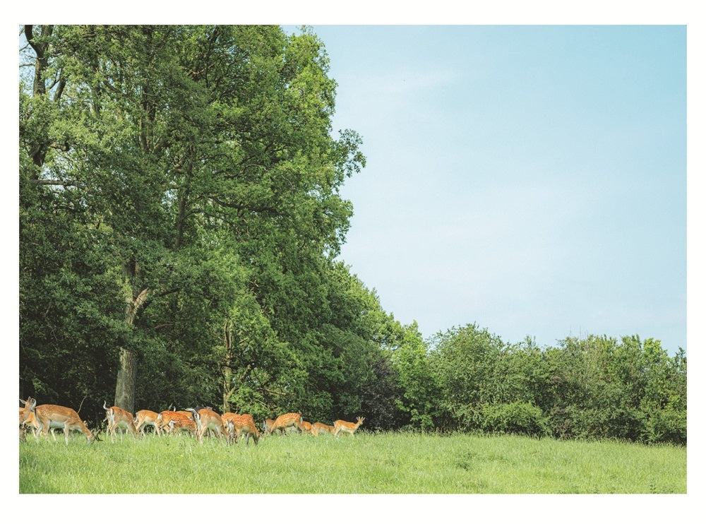 北歐時間:
世界第一幸福國度教會我的事 平裝書 Paperback