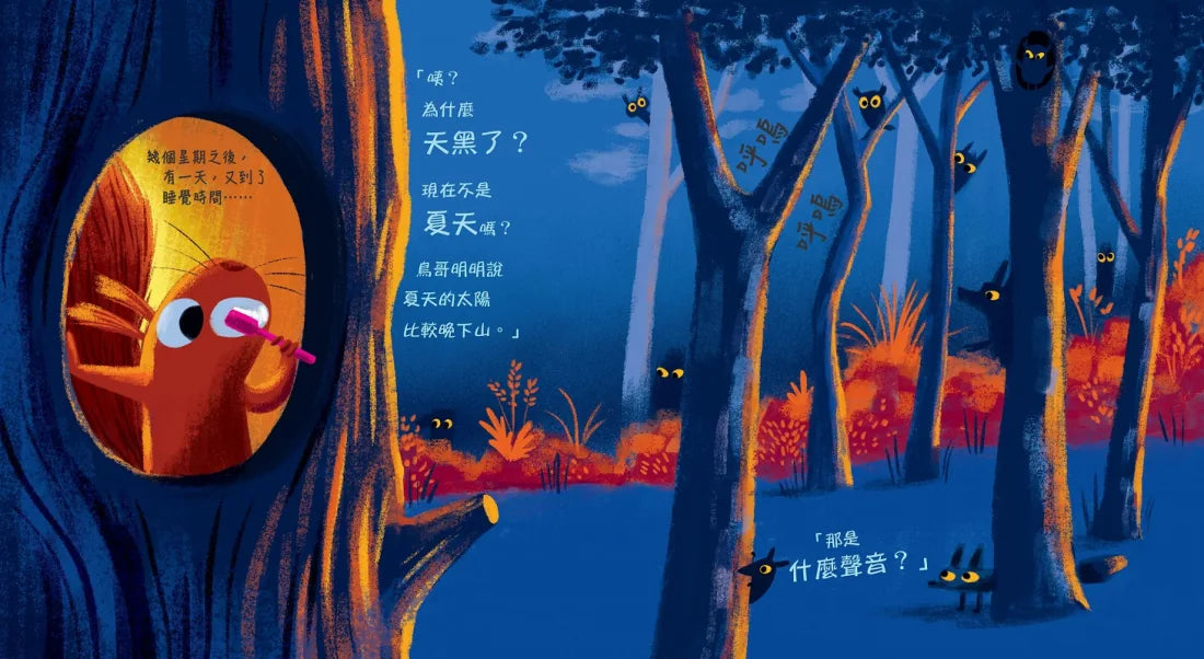誰偷走了我的陽光?【森林動物的季節故事書4-我愛夏天】(大人小孩都搶著看的傻萌小松鼠繪本) 精裝書 Hardback