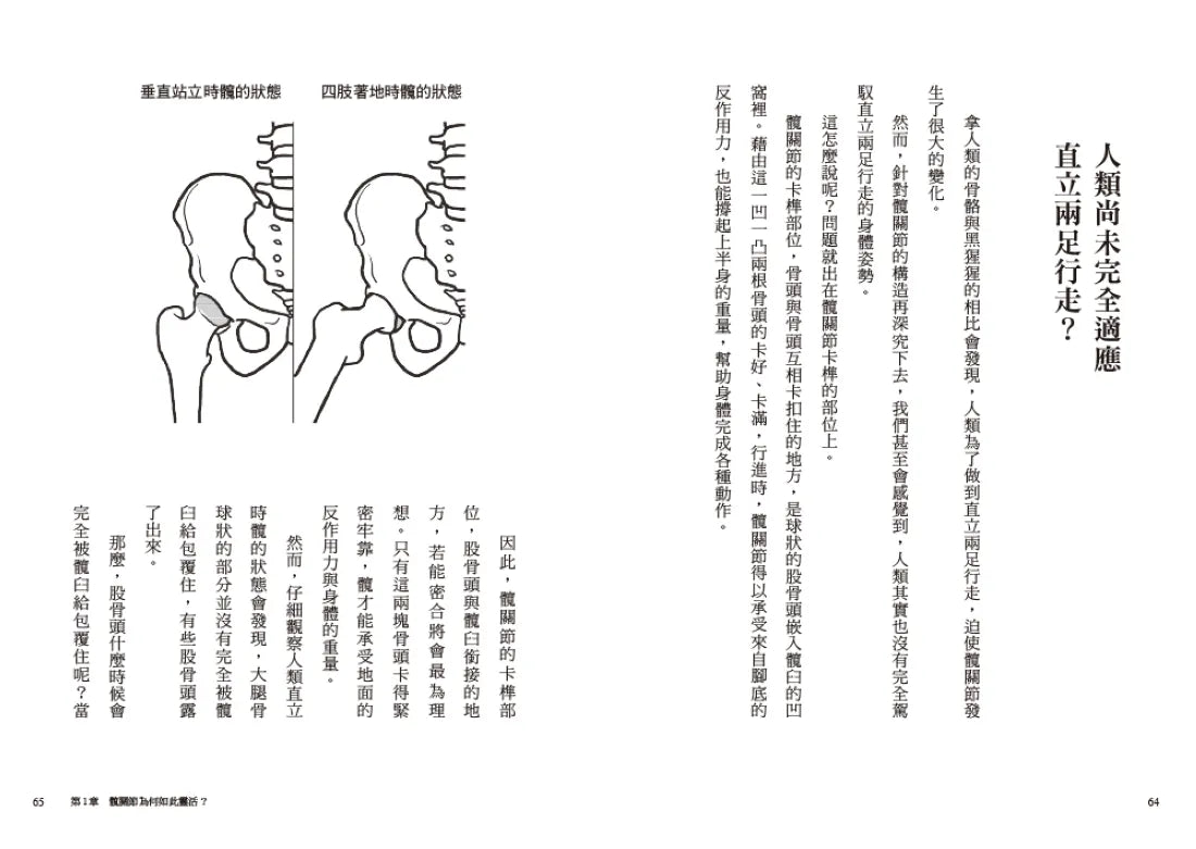 不老,從髖關節開始:強化核心力量,打造柔軟度、穩定度與靈活度 (美國運動醫學會認證的運動生理學家Shuichi James Nakano) 平裝書 Paperback