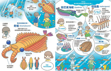 Inside Page 3