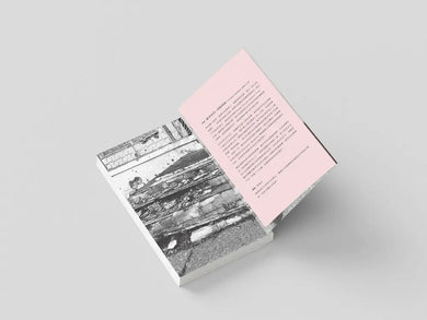 直視戰爭的女人:記那些在殺戮年代追蹤真相的天使 平裝書 Paperback