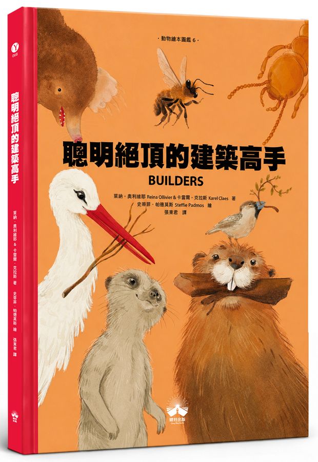 Book Cover 9786267996201
