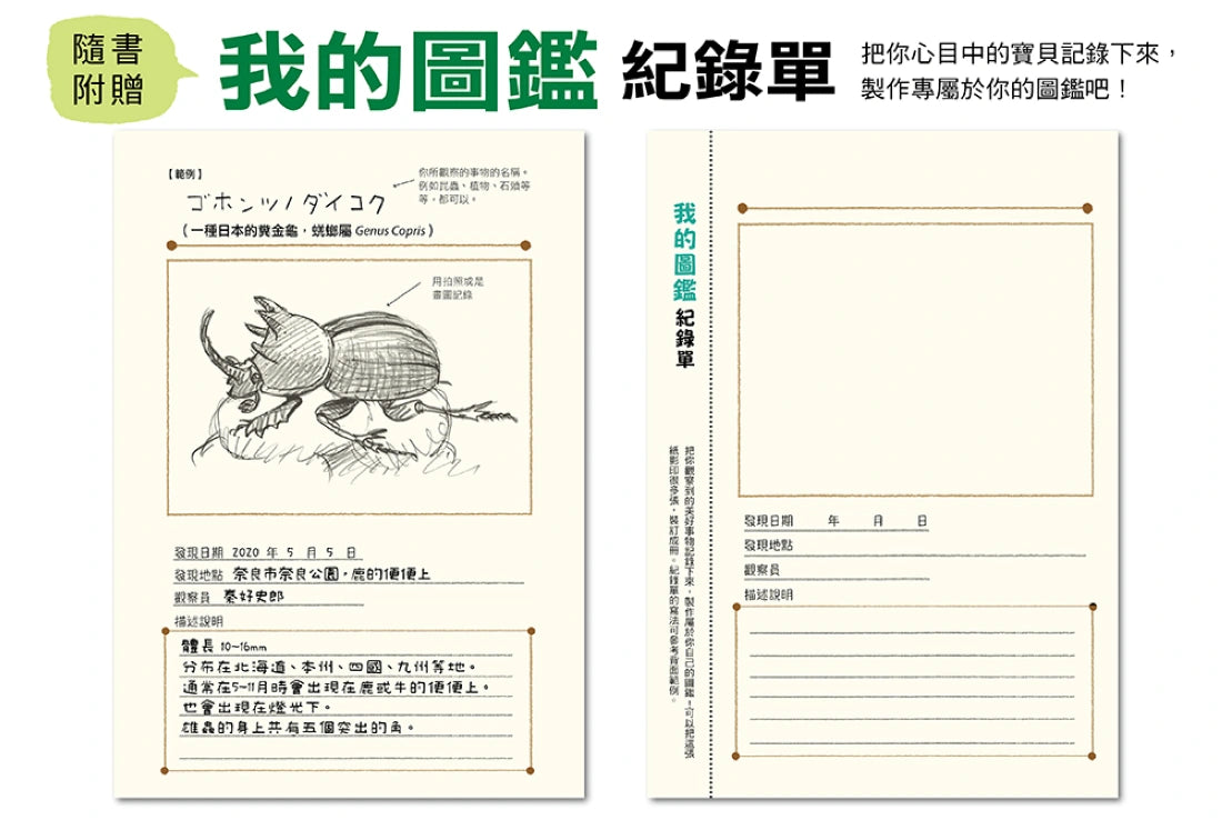 我們的椿象圖鑑─惱人的蟲蟲變成大家的寶貝(隨書附「我的圖鑑」紀錄單) 精裝書 Hardback