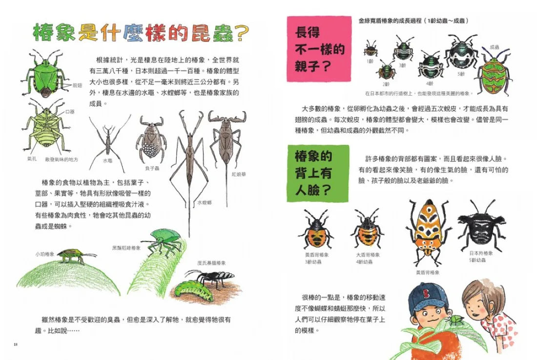 我們的椿象圖鑑─惱人的蟲蟲變成大家的寶貝(隨書附「我的圖鑑」紀錄單) 精裝書 Hardback