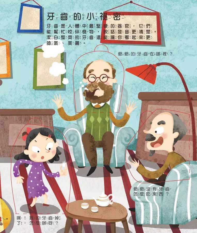 牙齒呢?翻翻書-非故事: 常識通識 General Knowledge-買書書 BuyBookBook