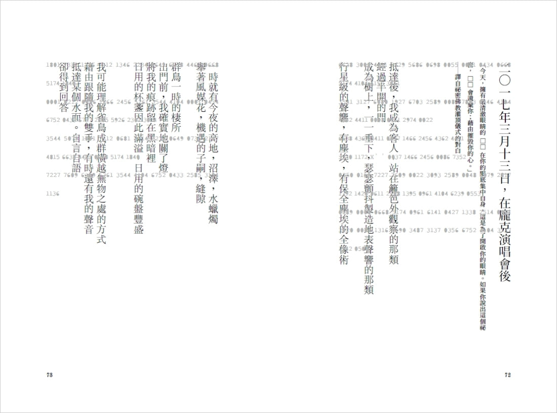 集合的掩體 平裝書 Paperback