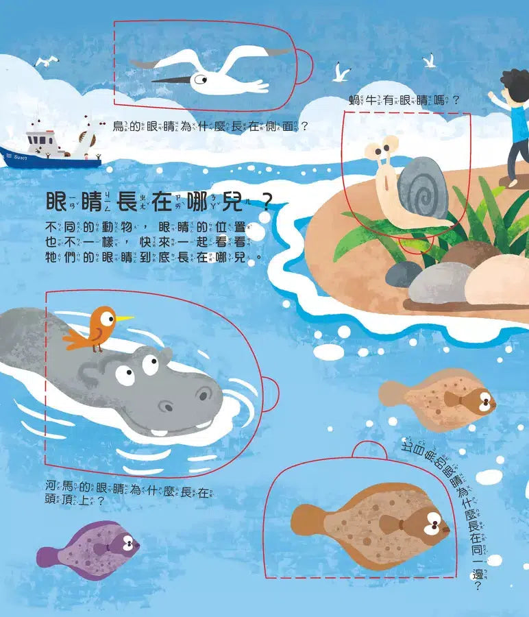 眼睛呢? 翻翻書-非故事: 常識通識 General Knowledge-買書書 BuyBookBook