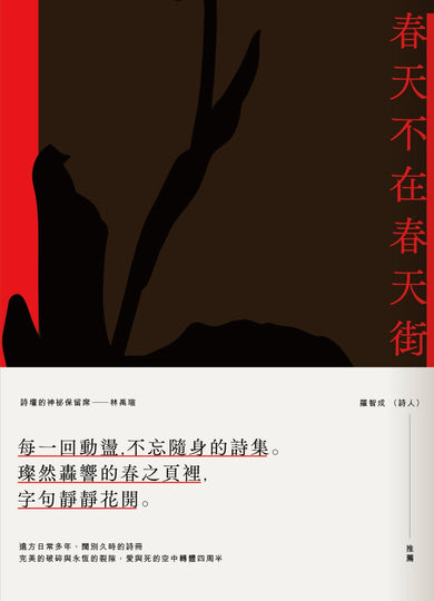 春天不在春天街 平裝書 Paperback