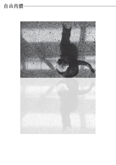 幸運的罪 平裝書 Paperback