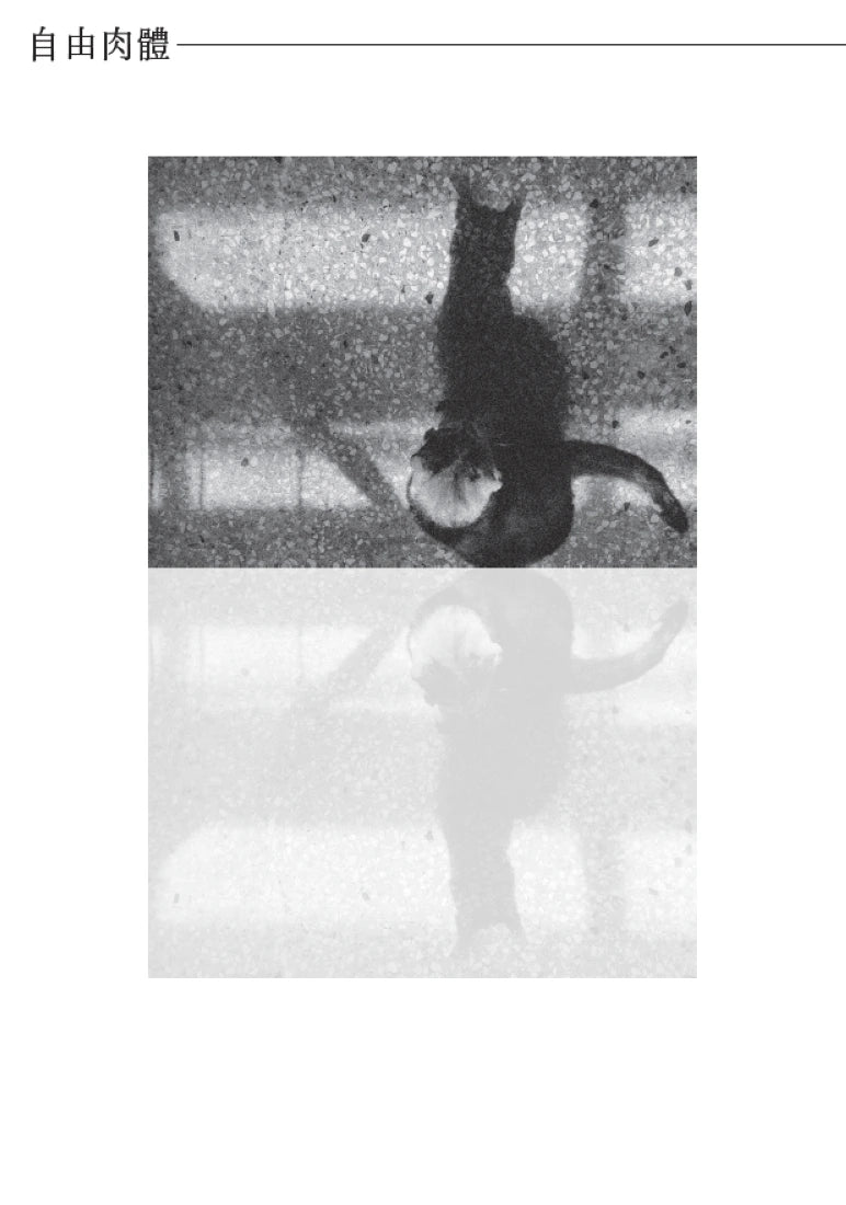 幸運的罪 平裝書 Paperback