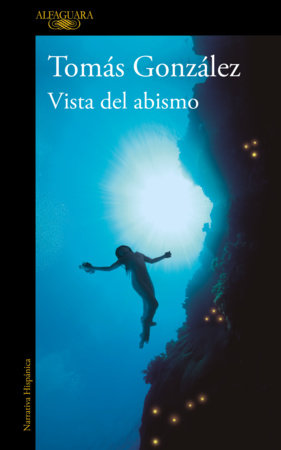 Cover of Vista del abismo / View from the Abyss (ISBN 9788410299443)
