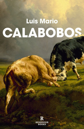 Cover of Calabobos / Drizzle (ISBN 9788410352094)