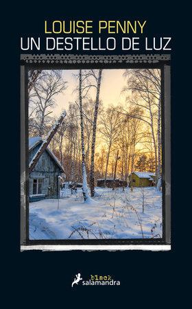 Cover of Un destello de luz / How the Light Gets In (ISBN 9788416237326)