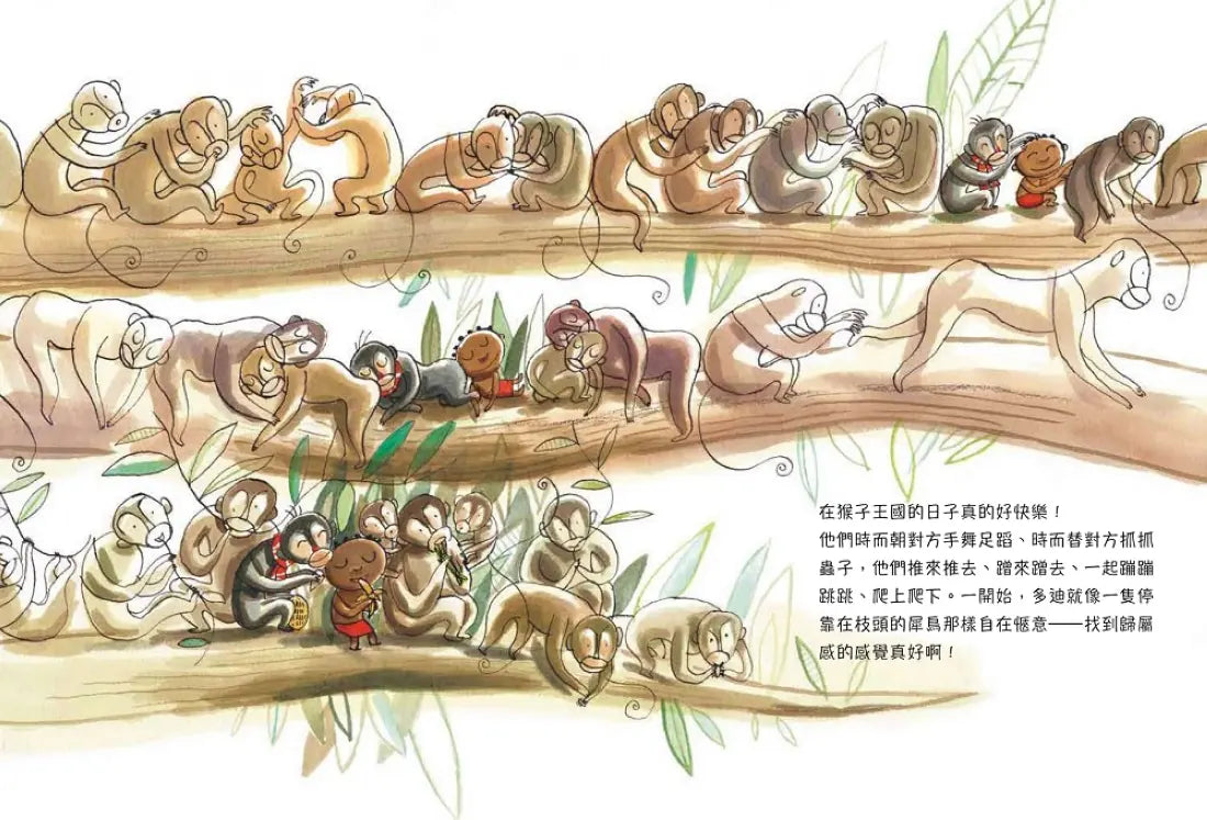 小不點卡卡伊撿到一隻小猴子 精裝書 Hardback