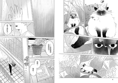 手掌貓咪01:與世界上最小的貓咪,共度閃閃發亮的每一天!【首刷限定版】(附贈「與喵同行的每一天」明信片兩款)-故事: 劇情故事 General-買書書 BuyBookBook