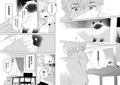 手掌貓咪01:與世界上最小的貓咪,共度閃閃發亮的每一天!【首刷限定版】(附贈「與喵同行的每一天」明信片兩款)-故事: 劇情故事 General-買書書 BuyBookBook