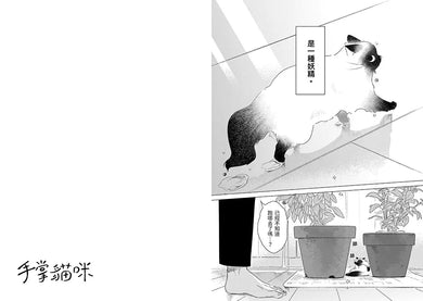 手掌貓咪01:與世界上最小的貓咪,共度閃閃發亮的每一天!【首刷限定版】(附贈「與喵同行的每一天」明信片兩款)-故事: 劇情故事 General-買書書 BuyBookBook
