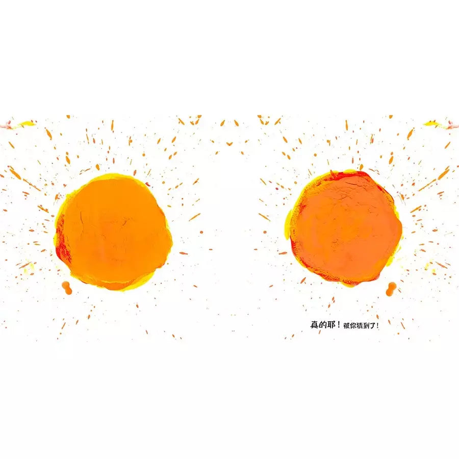 彩色點點-非故事: 學前基礎 Preschool Basics-買書書 BuyBookBook