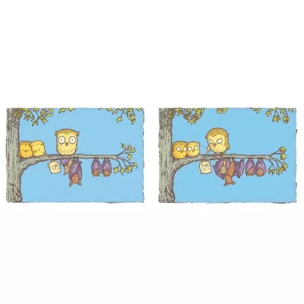 貓頭鷹 蝙蝠-故事: 兒童繪本 Picture Books-買書書 BuyBookBook