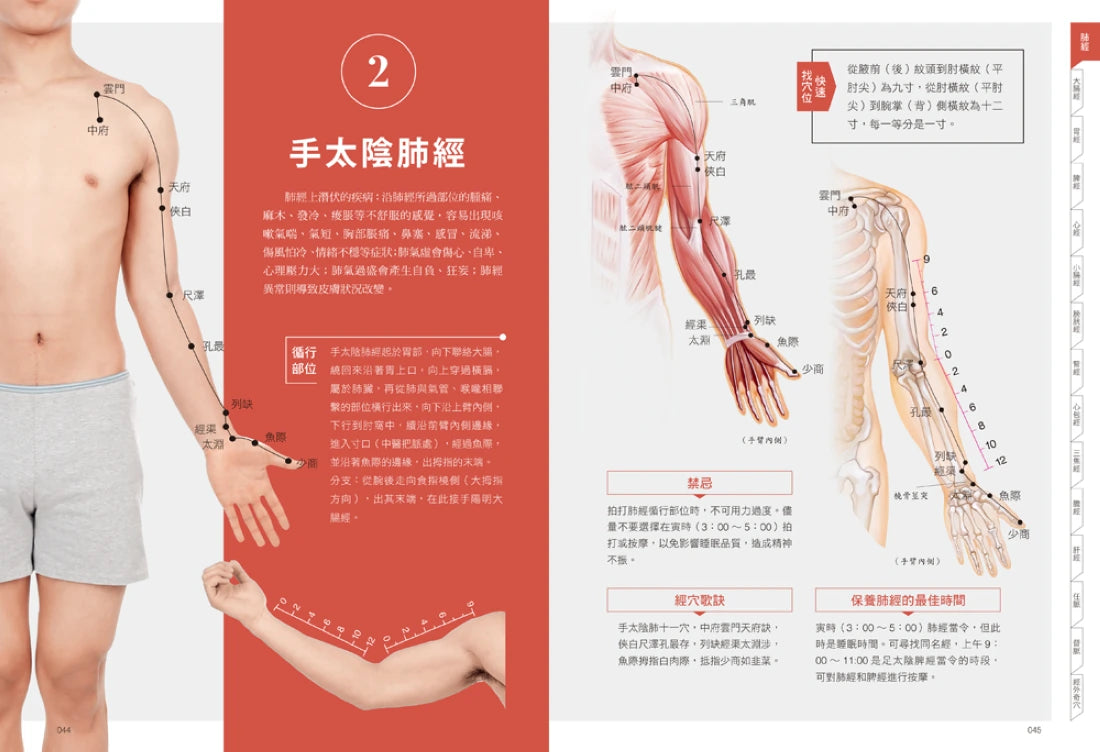 徒手中醫:最強經絡穴位養生圖解! 平裝書 Paperback