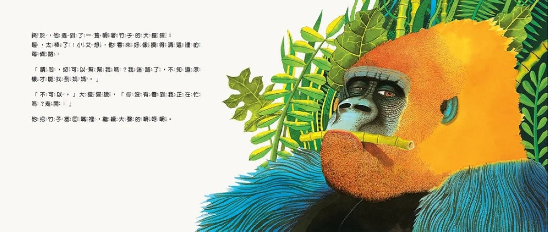 幫我找媽媽 精裝書 Hardback