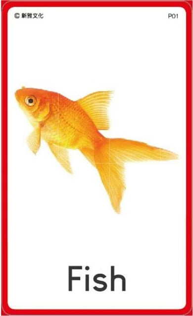 蒙特梭利認知語文三段卡學習套裝(蒙特梭利教育系列)