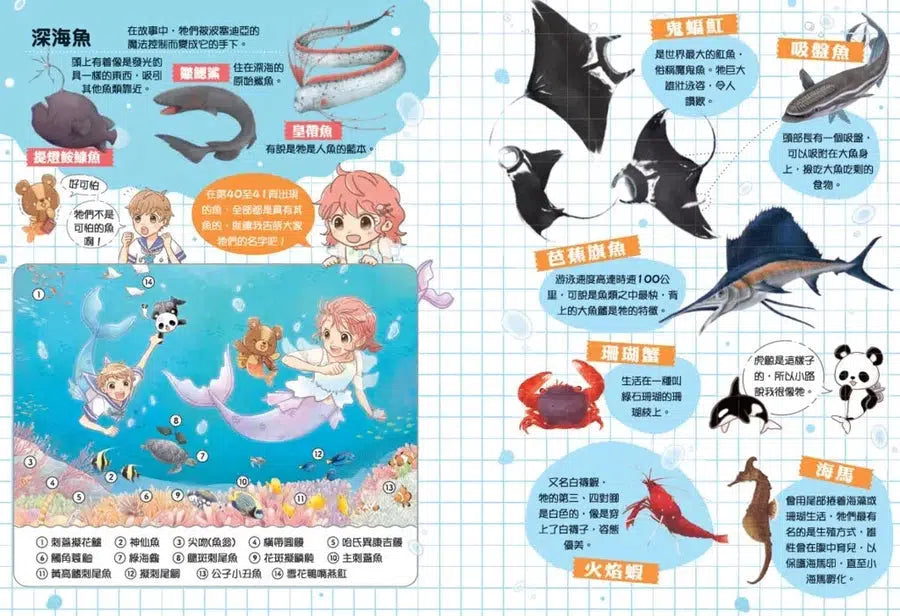 安琪的小熊松露 #03 人魚海洋的寶藏-故事: 橋樑章節 Early Readers-買書書 BuyBookBook