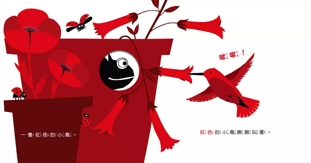 小變色龍變變變:探索顏色 (Anita Bijsterbosch)-非故事: 學前基礎 Preschool Basics-買書書 BuyBookBook