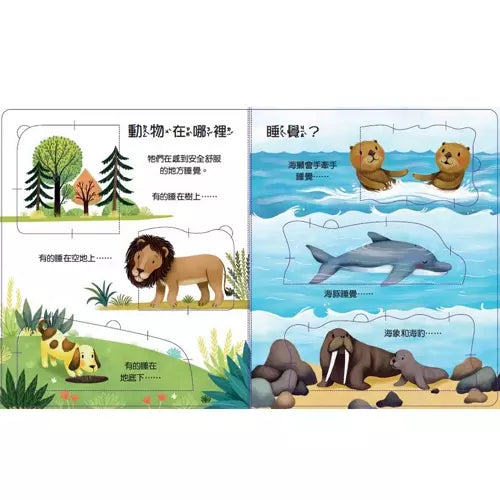 寶貝的第一本Q&A:為什麼要上床睡覺?(凱蒂.黛恩絲)-非故事: 學前基礎 Preschool Basics-買書書 BuyBookBook