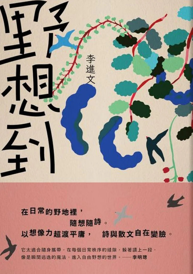 野想到 平裝書 Paperback