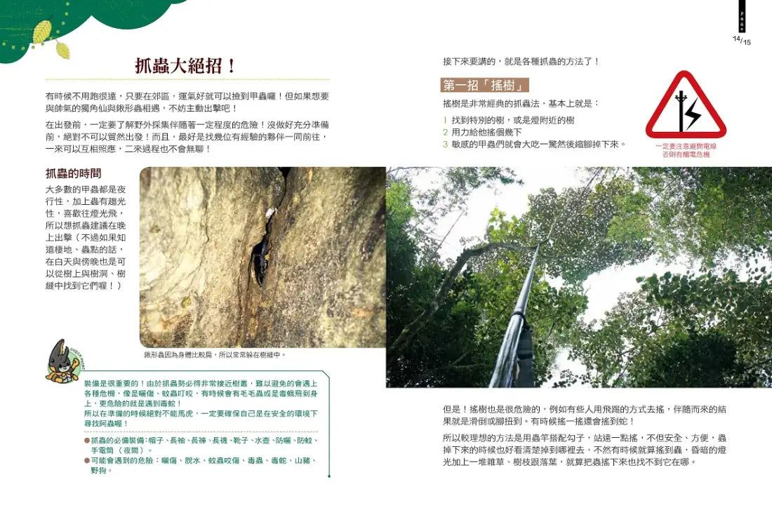 甲蟲超人超圖解 平裝書 Paperback