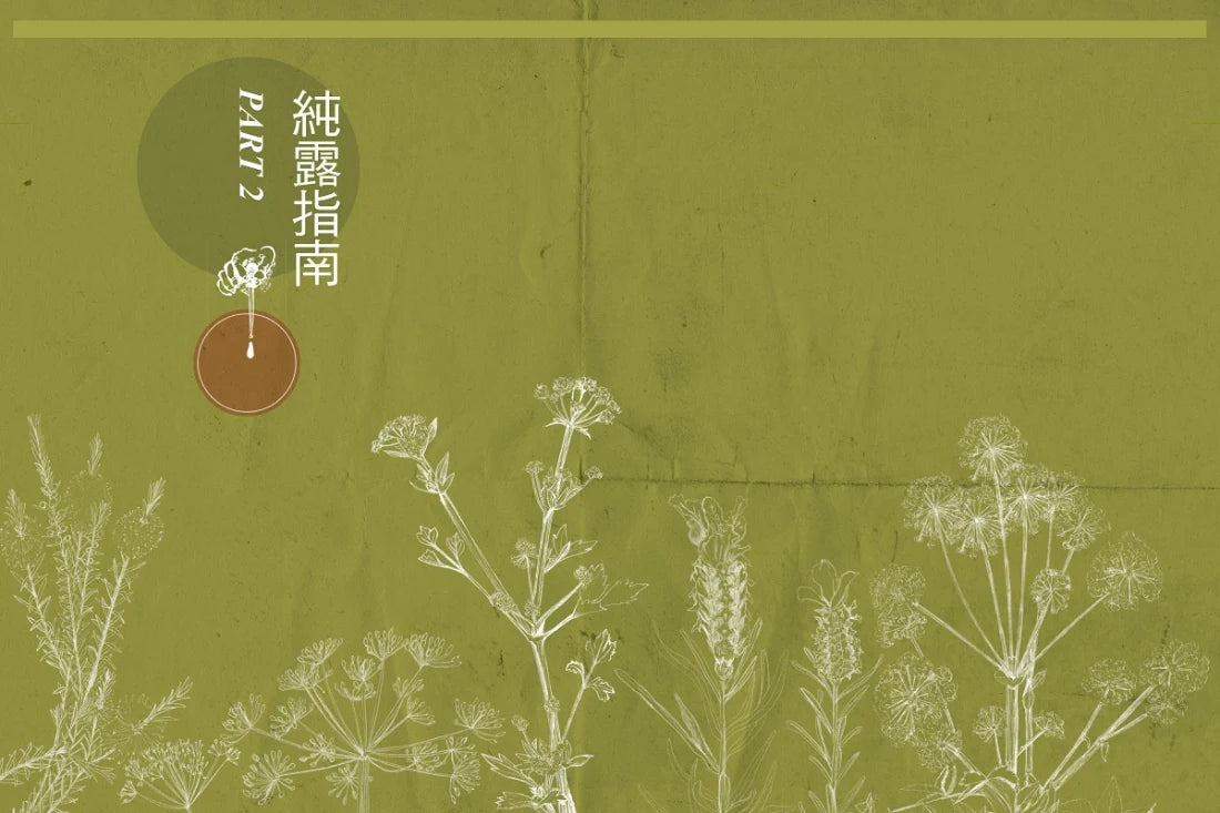 純露芳療全書:涵養植物靈魂的能量之水,療癒身心的生命之泉(二版) 精裝書 Hardback