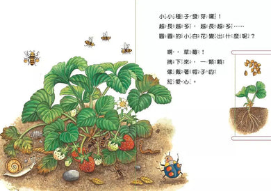 小種子,快長大 (水果篇)-買書書 BuyBookBook