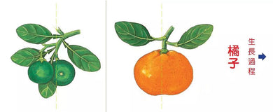 小種子,快長大 (水果篇)-買書書 BuyBookBook