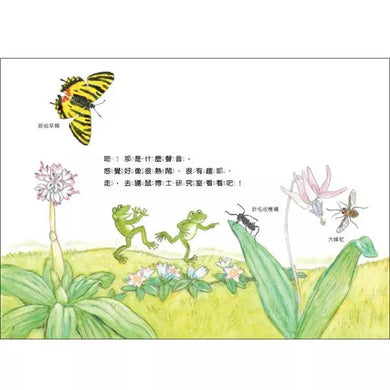 雨蛙生態旅行團:地下探險之旅 (松岡達英)-故事: 兒童繪本 Picture Books-買書書 BuyBookBook