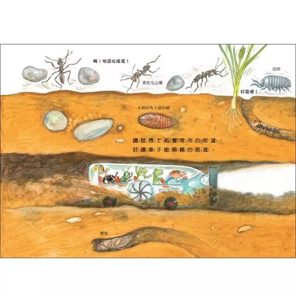 雨蛙生態旅行團:地下探險之旅 (松岡達英)-故事: 兒童繪本 Picture Books-買書書 BuyBookBook