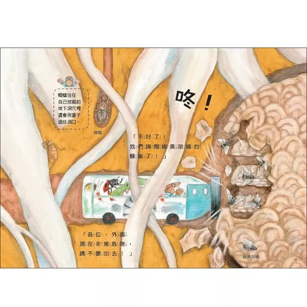 雨蛙生態旅行團:地下探險之旅 (松岡達英)-故事: 兒童繪本 Picture Books-買書書 BuyBookBook
