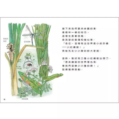 雨蛙生態旅行團:池塘發現之旅 (松岡達英)-故事: 兒童繪本 Picture Books-買書書 BuyBookBook