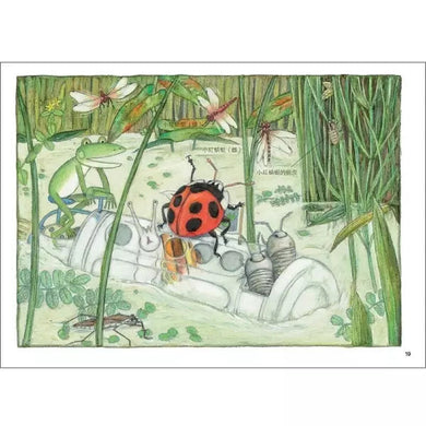 雨蛙生態旅行團:池塘發現之旅 (松岡達英)-故事: 兒童繪本 Picture Books-買書書 BuyBookBook